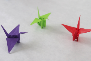 “Grullas por la Paz”: origami empapado en esperanza