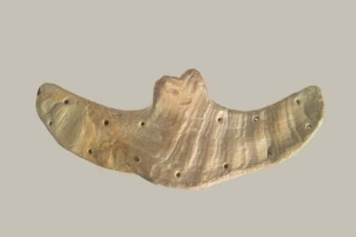 Pectoral caracol