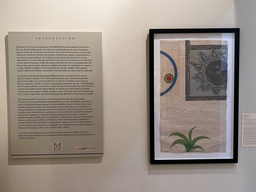 2.IMG_3446