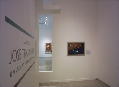 Vista de sala. Colección José Trías Monge: Un legado para la universidad. 2009