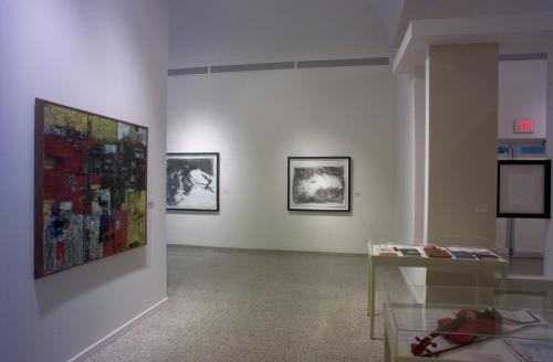 Vista de sala. Colección José Trías Monge: Un legado para la universidad. 2009