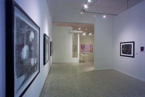 Vista de sala. Colección José Trías Monge: Un legado para la universidad. 2009