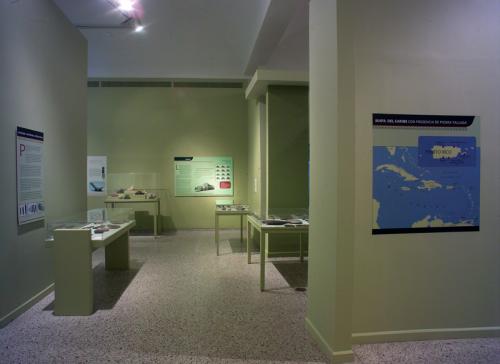 Vista de sala. Artefactos: Tecnología indígena. 2010