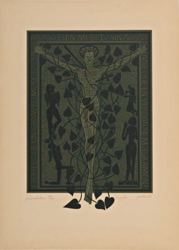 José Rosa, La enredadera